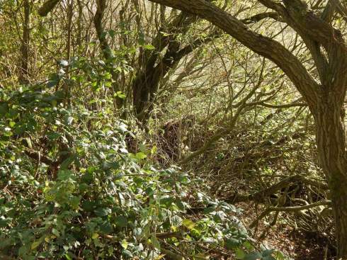 FB_IMG_1540152392127