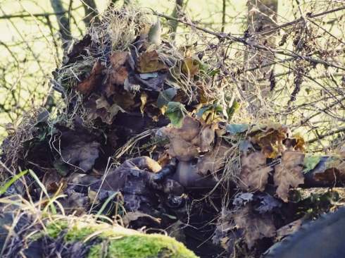 49637437_10156912605401591_2024914957933477888_n