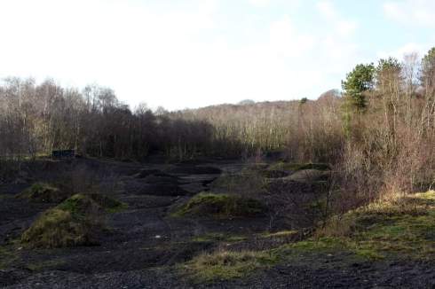 FB_IMG_1550180929489