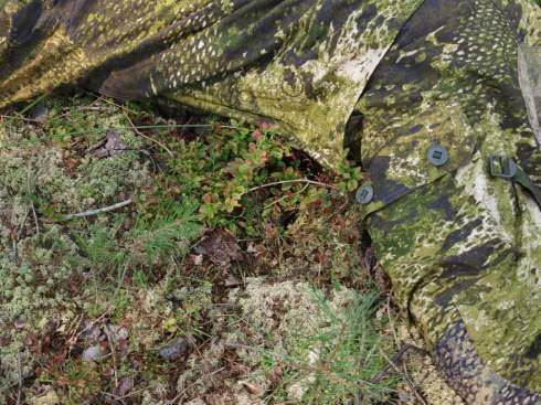 FB_IMG_1573596696983