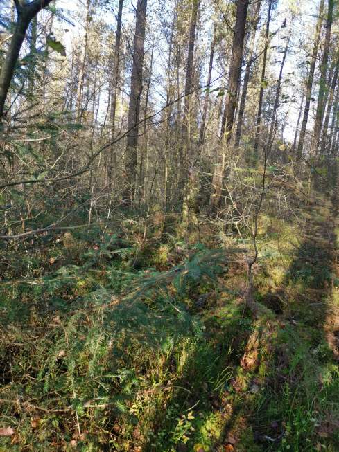 received_511443849700571