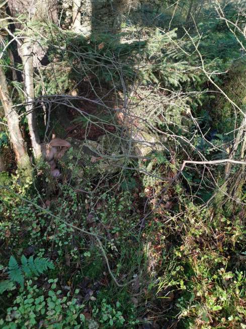 received_517870409051803