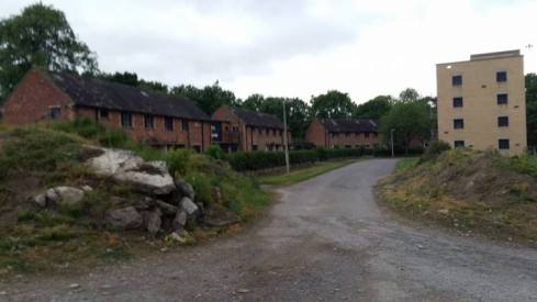 13428512_1708747106041256_8962006042592463910_n